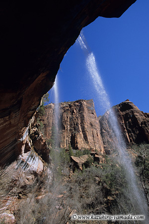 Zion National Park / �U�C�I����������