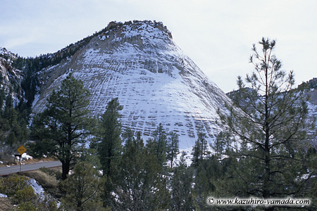 Zion National Park / �U�C�I����������