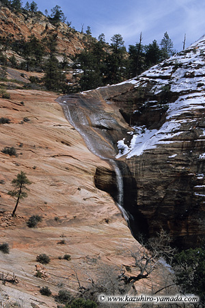 Zion National Park / �U�C�I����������