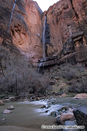 Zion National Park / �U�C�I����������