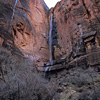Zion National Park / �U�C�I����������