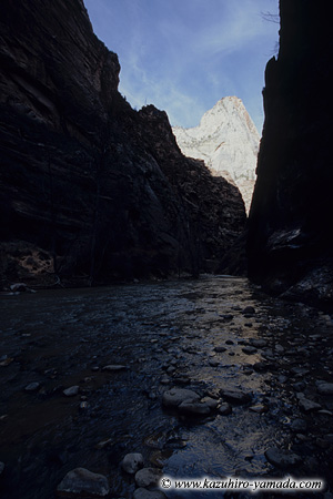 Zion National Park / �U�C�I����������