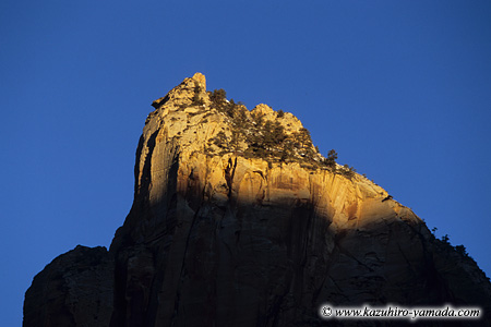 Zion National Park / �U�C�I����������