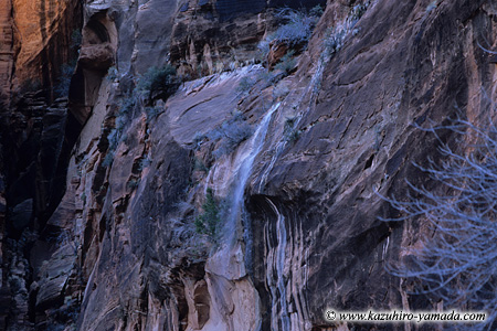Zion National Park / �U�C�I����������