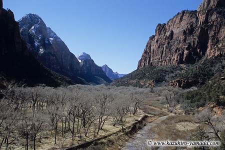 Zion National Park / �U�C�I����������