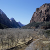 Zion National Park / �U�C�I����������