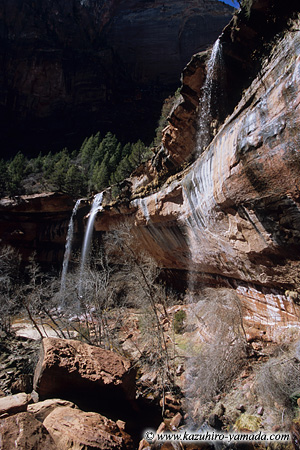 Zion National Park / �U�C�I����������