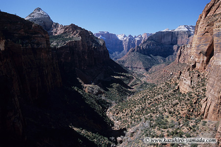 Zion National Park / �U�C�I����������