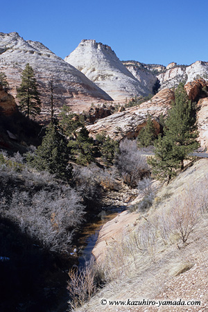 Zion National Park / �U�C�I����������