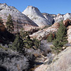 Zion National Park / �U�C�I����������