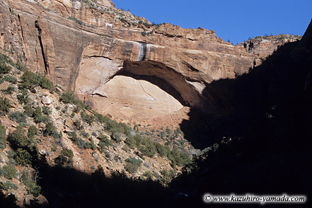 Zion National Park / �U�C�I����������
