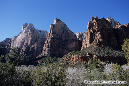 Zion National Park / �U�C�I����������