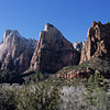 Zion National Park / �U�C�I����������