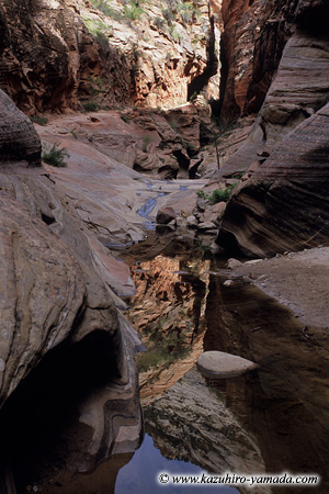 Echo Canyon (2) / �G�R�[�L���j�I��
