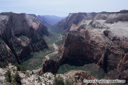 Observation Point / �I�u�U�x�[�V�����|�C���g