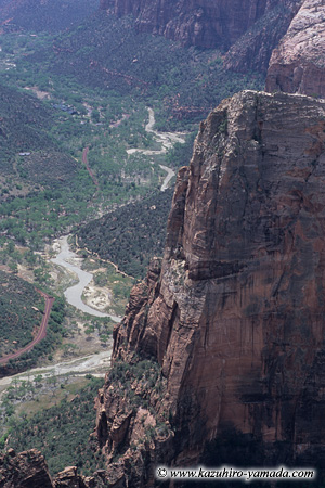 Angel's Landing from Observation Point / �I�u�U�ׁ[�V�����|�C���g����̃G���W�F�������f�B���O