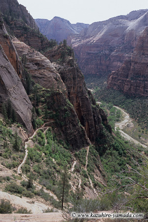 Many Switchbacks / ��\��܂�