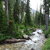 Yellowstone