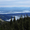 Yellowstone