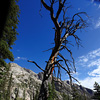 Yellowstone