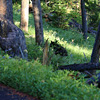Yellowstone