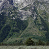Yellowstone