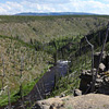 Yellowstone
