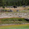 Yellowstone