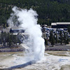 Yellowstone