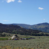 Yellowstone