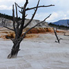 Yellowstone
