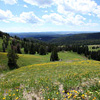 Yellowstone
