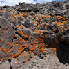 Yellowstone